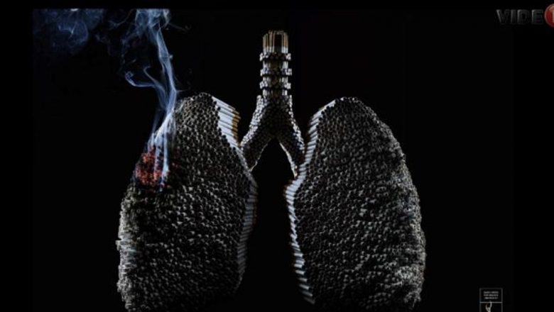 Impactul Fumatului Excesiv: Ce Ne Spune Experimentul Plămânului și Consecințele Fumatului pentru Sănătate