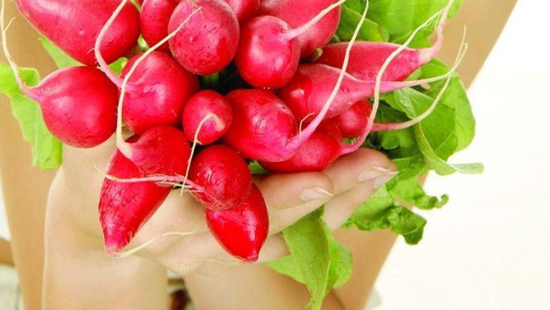 Ridichile: Olegume uimitoare pentru combaterea anemiei și detoxifierea organismului