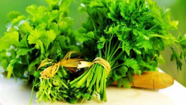 Dieta cu Pătrunjel: Beneficii, Rețete și Impact Asupra Sănătății