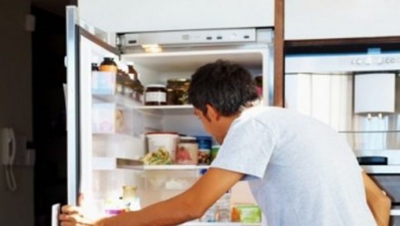 Ghidul complet pentru păstrarea alimentelor în frigider pe timpul verii: Sfaturi utile pentru o conservare optimă