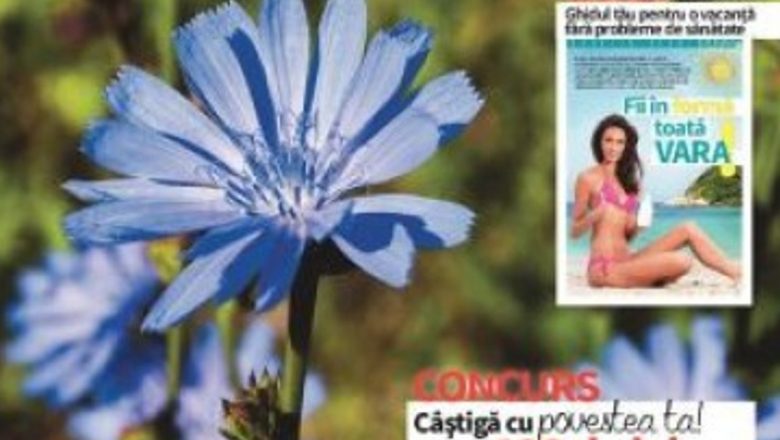 Ghidul Sănătății de Vară: Provocările Sezonului Estival și Cum Să Ne Protejăm