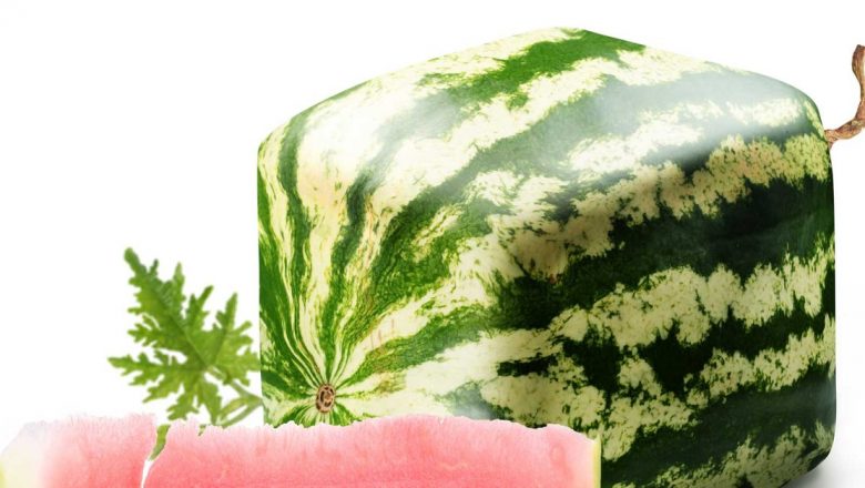 Pepenele Roșu: Superalimentul Verii Care Întărește Imunitatea Copiilor