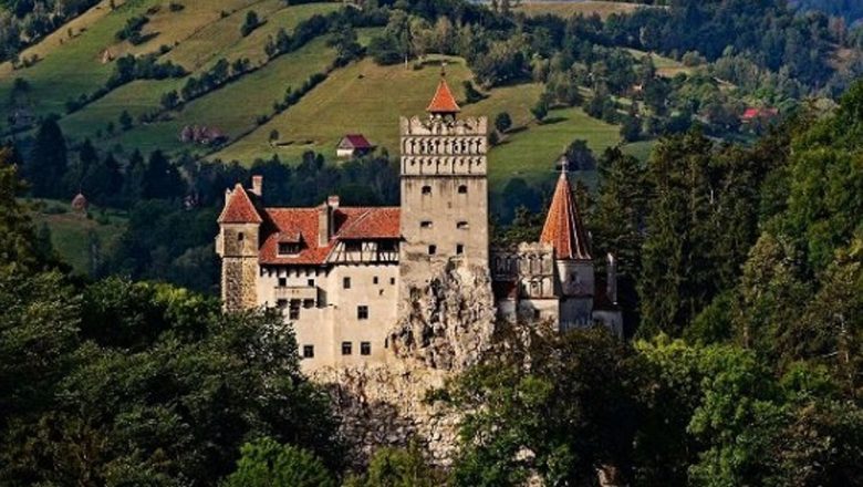 Transformarea Fizică și Mentală: Diana Știrbu și Ediția de Vară a Taberei de Slăbit “Bye Bye Belly Camp”