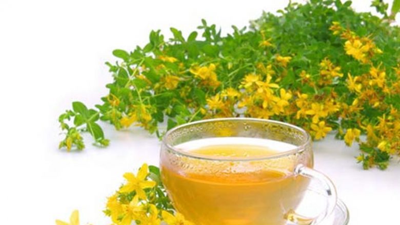 Ceașca de sănătate: Plantele medicinale care ne mențin în formă și sănătoși