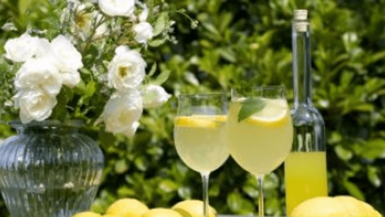 Detoxificarea Organismului prin Limonadă: Beneficii, Metode și Perspective