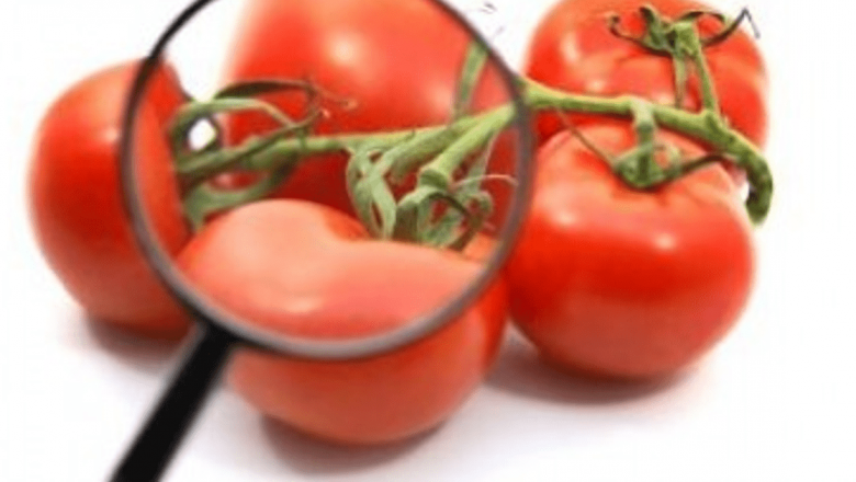 Licopenul: Un Antioxidant Esențial pentru Sănătate și Sursele Sale Optime