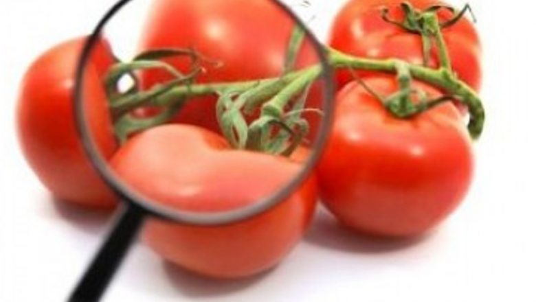 Licopen: Puterea unui Antioxidant și Sursele Sale Esențiale în Dietă
