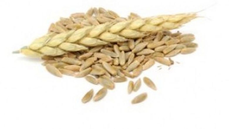 Secara: Beneficiile Nutriționale și Impactul Asupra Sănătății Metabolice