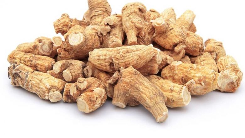 Ginsengul: Descoperirea unei Rădăcini Magice pentru Viață Lungă și Sănătoasă