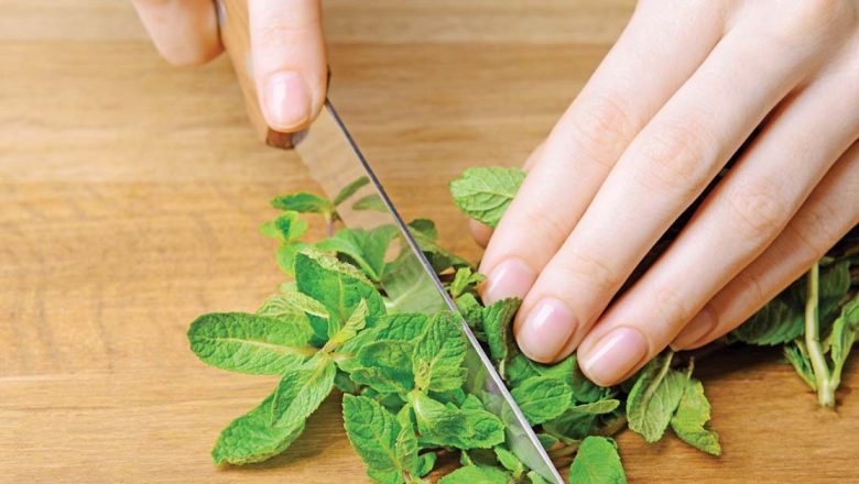 Beneficiile și Leacurile cu Menta: O Plante Medicinală cu O Istorie Bogată