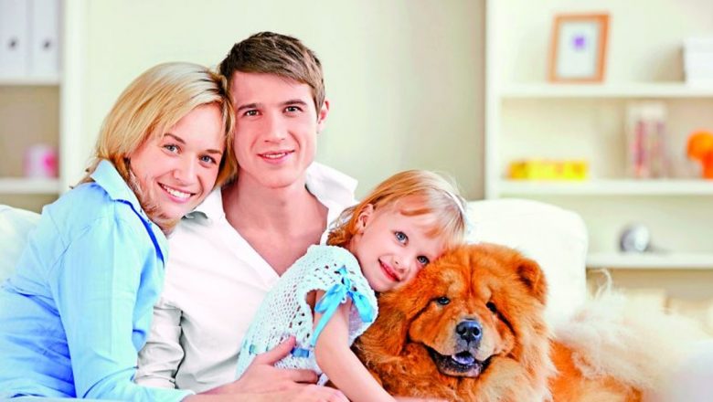 Obiceiurile familiilor fericite: O analiză profundă asupra dinamicii familiale și fericirii