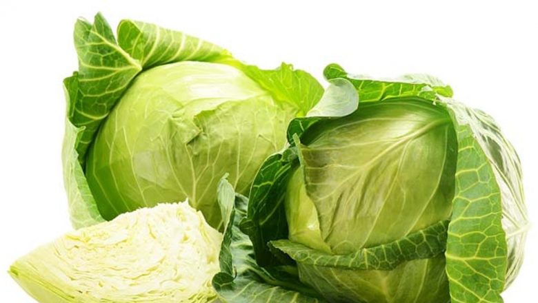 Varza: Superalimentul care prelungește tinerețea și îmbunătățește sănătatea