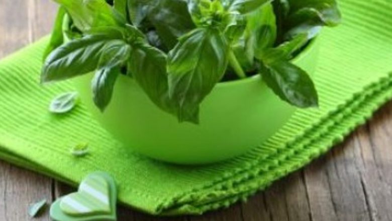 Beneficiile busuiocului: un remediu natural cu proprietăți terapeutice remarcabile