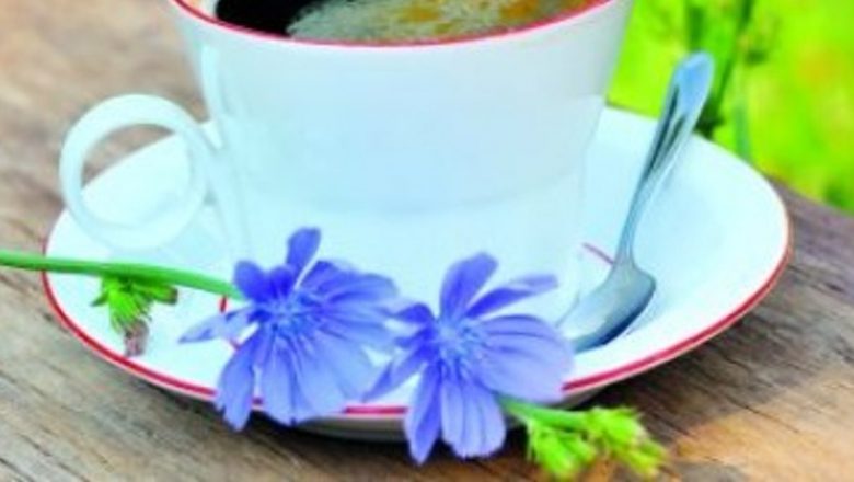 Cicoarea: Leacul Naturii pentru Sănătatea Noastră