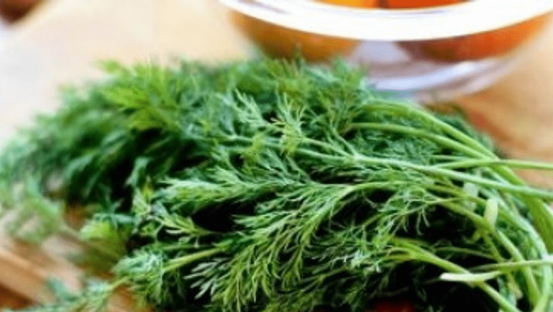 Mărarul: O Plantă Aromatică cu Beneficii Remarcabile pentru Sănătate și Slăbire