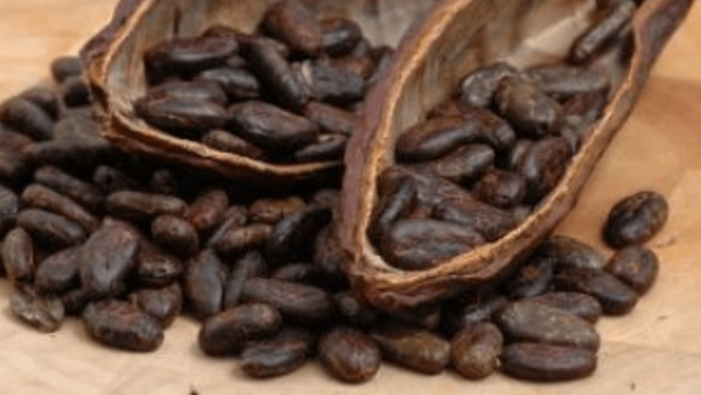 Untul de cacao: Secretul natural pentru o piele frumoasă și o siluetă de invidiat