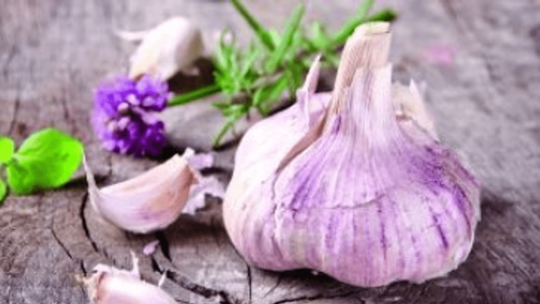 Plantele care contribuie la controlul hipertensiunii: Busuiocul și Scorțișoara în dieta zilnică