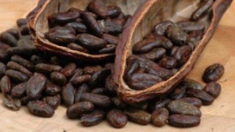 Beneficiile Untului de Cacao: O Comoară pentru Frumusețe și Sănătate