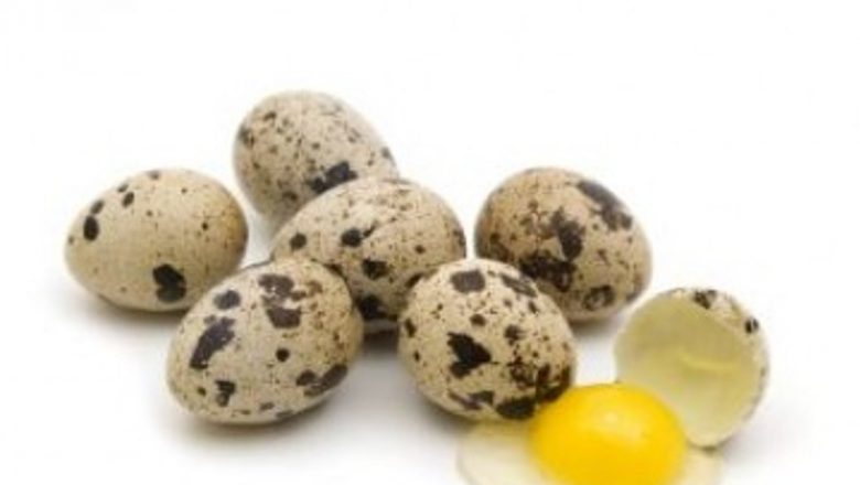 Ouăle de prepeliță: Superalimente pentru o imunitate robustă și sănătate optimă