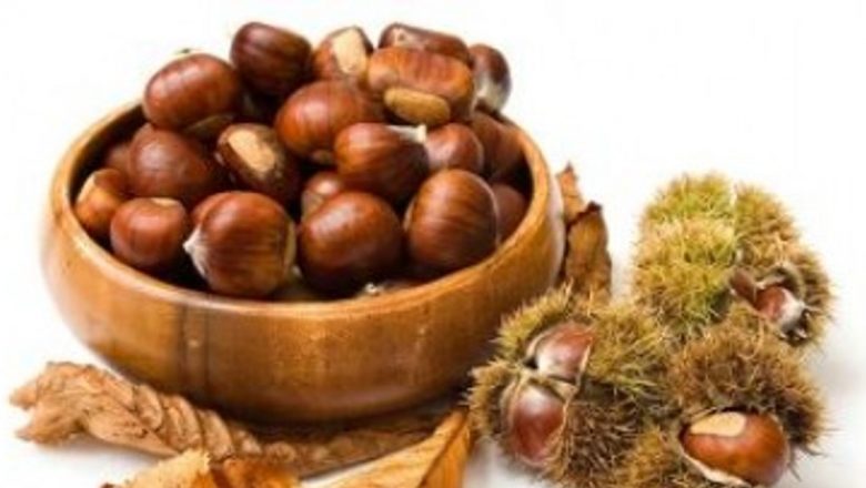 Beneficiile Castanelor: Superfructul care Întărește Sănătatea și Imunitatea