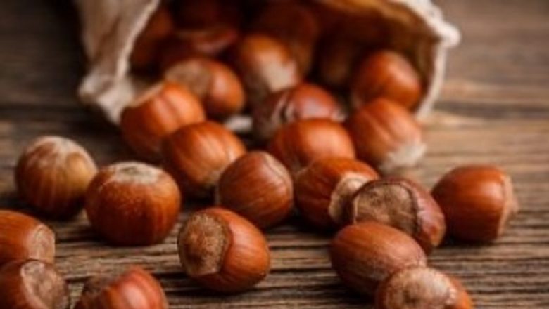 Alunele de Pădure: Superalimentul Care Îți Îmbunătățește Sănătatea