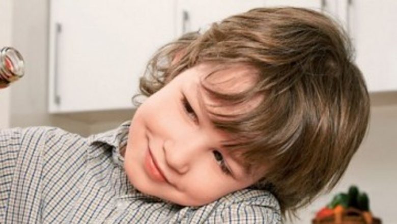 Alternativa Dulce: Beneficiile Plantelor Îndulcitoare în Dieta Modernă