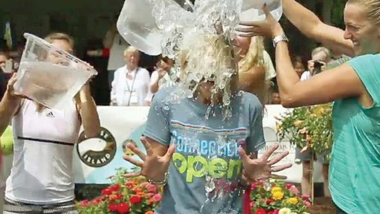 Beneficiile Semintelor de Floarea-Soarelui: Un Superaliment pentru Sănătate și Frumusețe