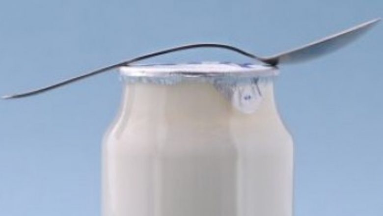 Impactul Iaurtului Asupra Stării de Spirit: O Analiză Detaliată a Legăturii dintre Probiotice și Funcțiile Cerebrale