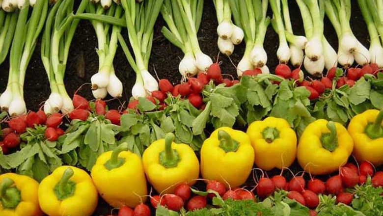 Impactul Alimentației asupra Sănătății: Reflectând asupra Zilei Mondiale a Alimentației