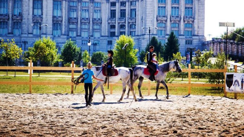 Hipoterapia: O Nouă Speranță pentru Copiii cu Autism în România