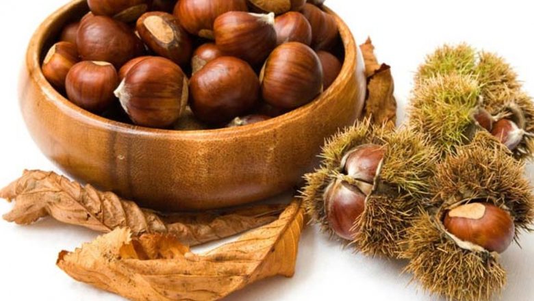 Castanele comestibile: O comoară nutrițională pentru sănătatea noastră