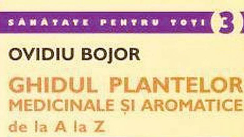 Rolul esențial al apei și vitaminelor în menținerea sănătății și longevității