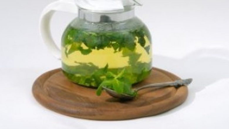 Ceaiul Verde: O Licoare a Memoriei și a Funcțiilor Cognitive