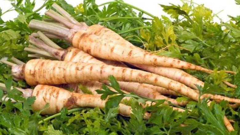Păstârnacul: O Legumă cu Beneficii Nebănuite pentru Sănătate