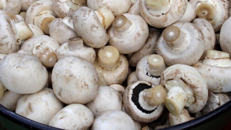 Ciupercile: Superalimente pentru Diete Sănătoase și Eficiente