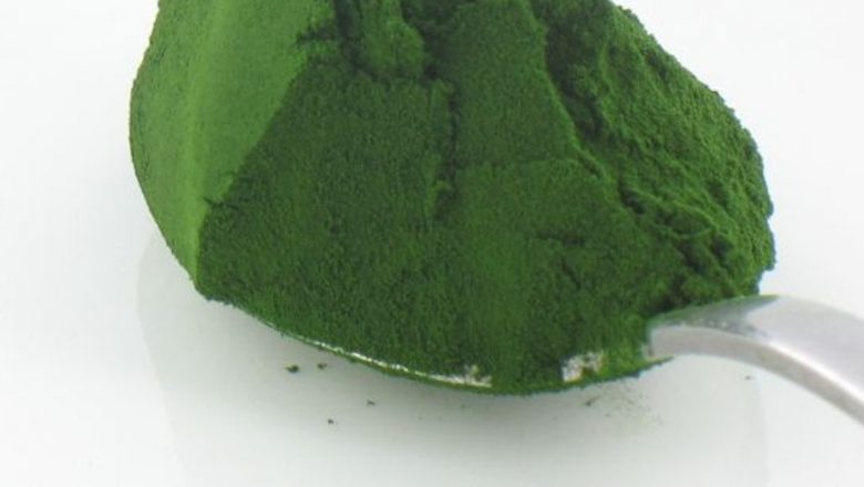 Chlorella: Alga Verde cu Potențial Terapeutic în Lupta Împotriva Cancerului