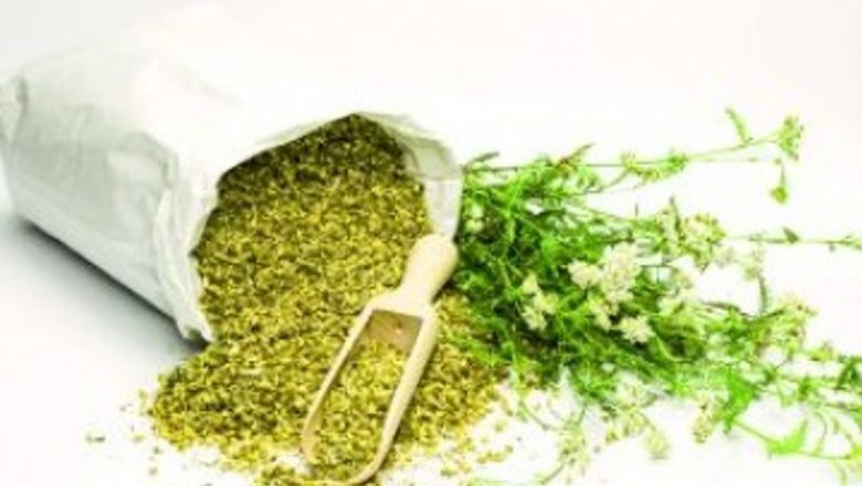 Remedii Naturale pentru Tulburările Menstruale: Soluții Tradiționale și Perspective Moderne