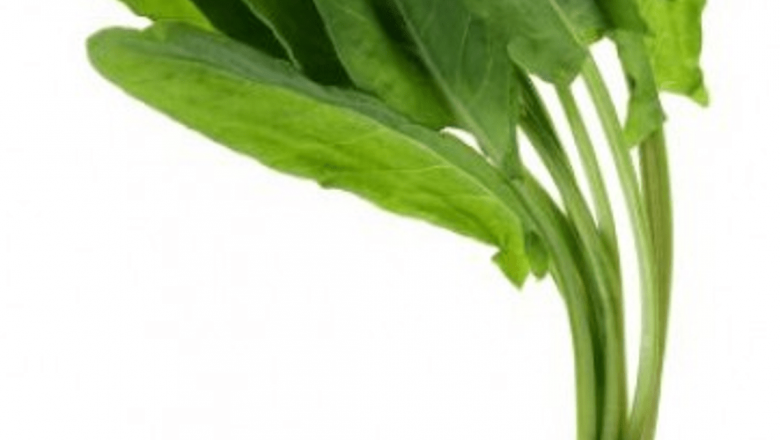 Beneficiile Steviei Rabaudiene: Prevenirea Boliilor prin Îndulcitori Naturali