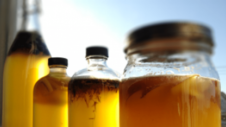 Kombucha: Elixirul Veșniciei din China și Beneficiile Sale pentru Sănătate