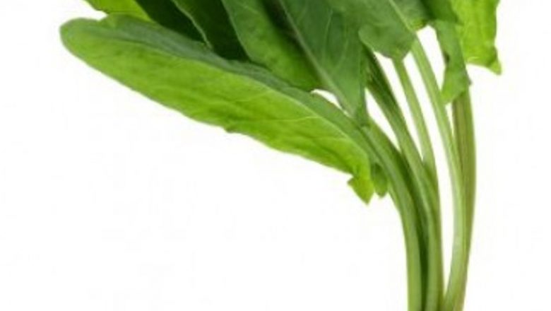 Beneficiile Steviei Rabaudiene: Cum Poate Această Plantă Să Previna Diverse Boli