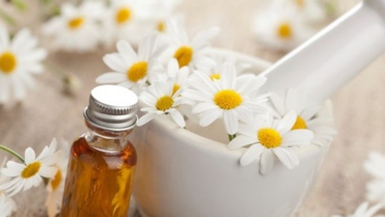 Revoluția Uleiului de Mușețel: Efectele Sale Remarcabile asupra Celulelor Canceroase