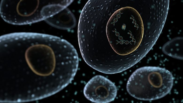 Licopenul: Antioxidantul Esențial în Lupta Împotriva Cancerului și Boli Cardiovasculare
