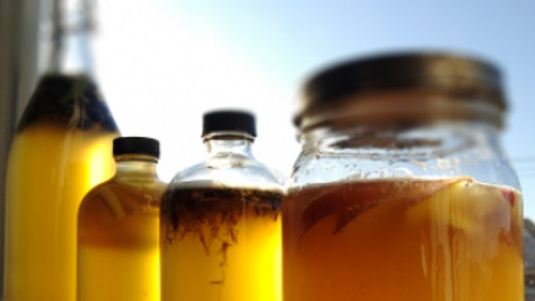 Kombucha: Elixirul sănătății și al longevității din tradiția chineză