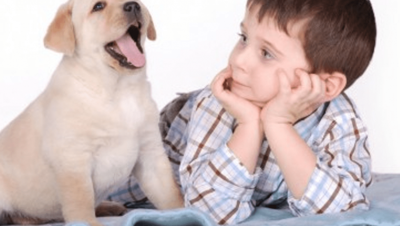Ghid complet pentru alegerea animalului de companie potrivit pentru copii