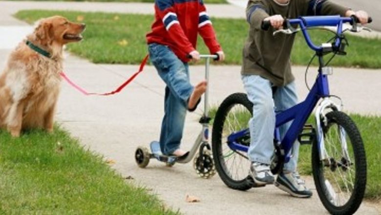 Importanța Activității Fizice în Copilărie: O Investiție în Viitorul Sănătății