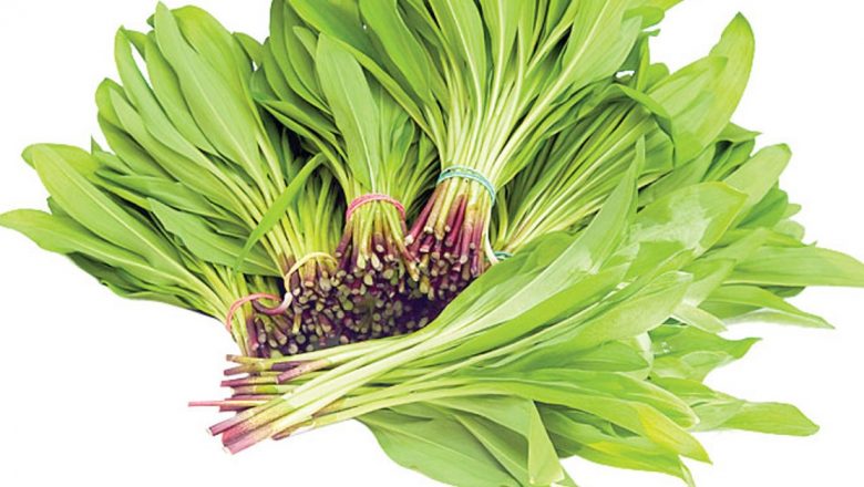 Leurda: Superalimentul Primăverii pentru Detoxifiere și Sănătate Cardiovasculară