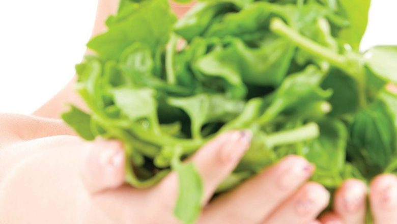 Anemia: Prevenire, Diagnostic și Tratament pentru o Sănătate Optimizată