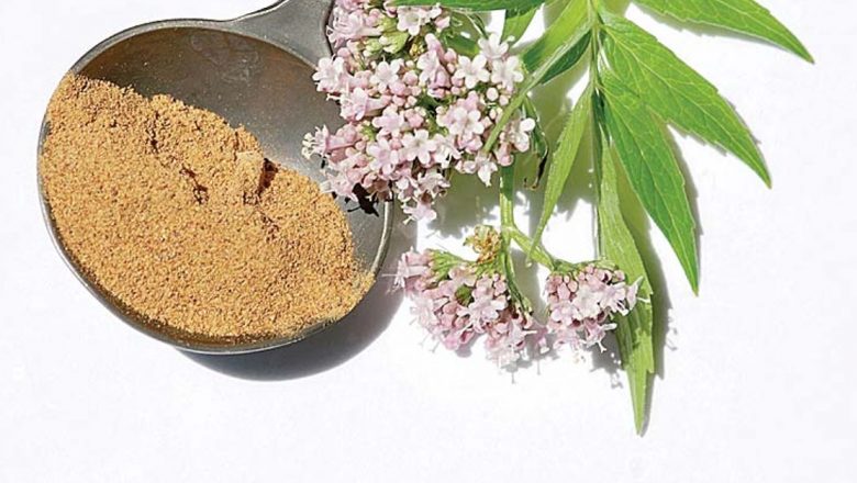 Valeriana: Remediul Natural pentru Stres și Insomnie