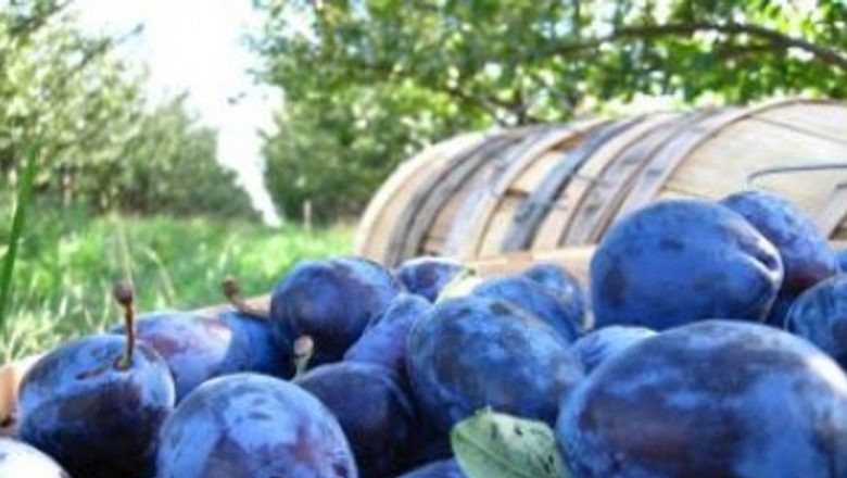 Alimentele care ajută la scăderea glicemiei: O abordare holistică asupra diabetului