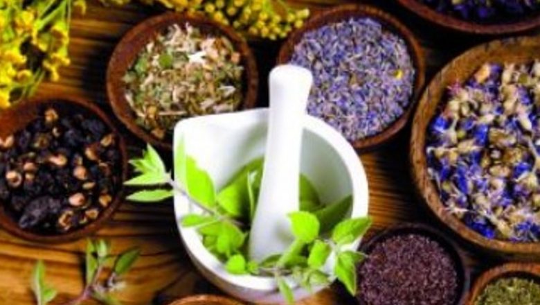 Plante Medicinale Esențiale pentru Sănătatea Ta: Beneficii și Utilizări